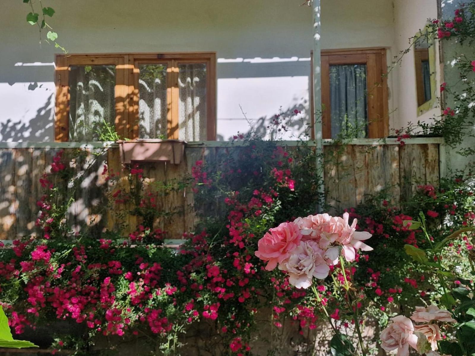 Guest House Aleksandre T'mogvi Camera foto